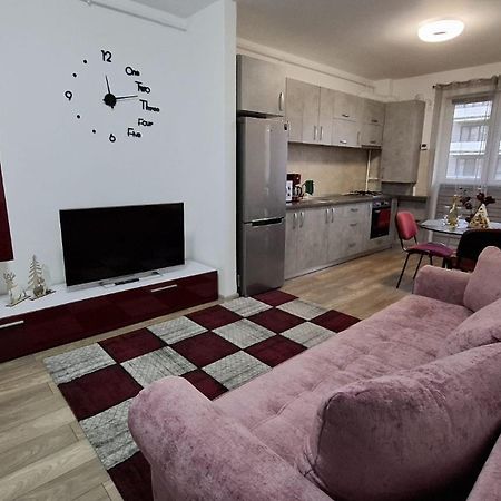 Ludi House Apartment Târgu-Mureş المظهر الخارجي الصورة