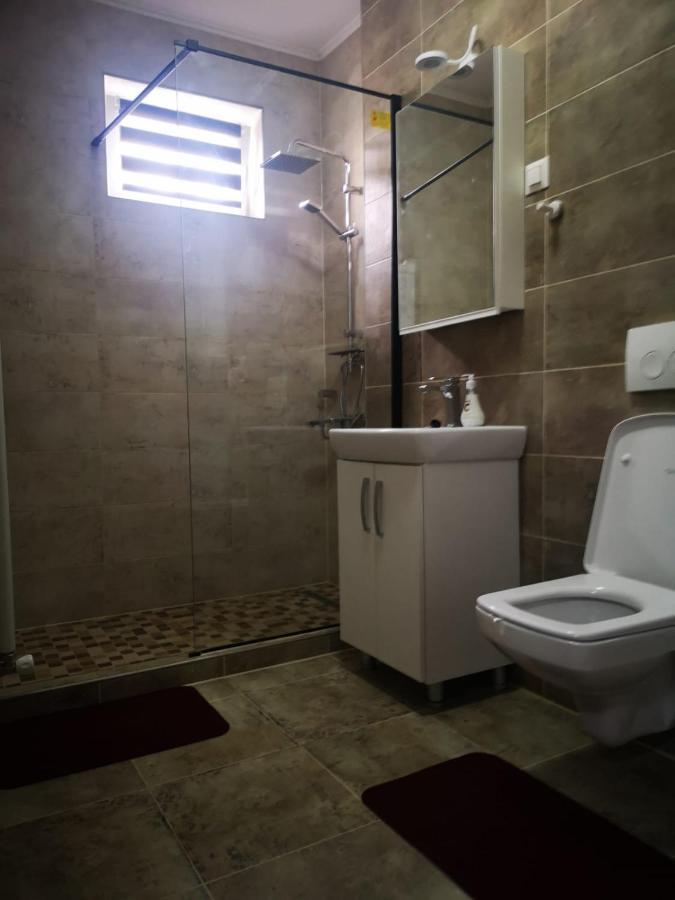 Ludi House Apartment Târgu-Mureş المظهر الخارجي الصورة