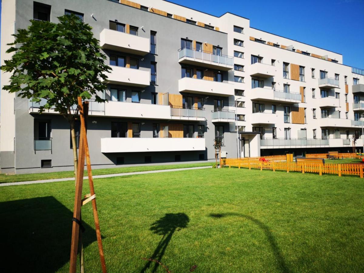 Ludi House Apartment Târgu-Mureş المظهر الخارجي الصورة