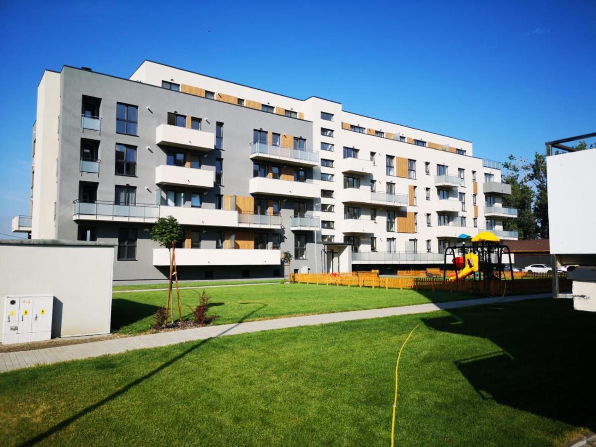 Ludi House Apartment Târgu-Mureş المظهر الخارجي الصورة