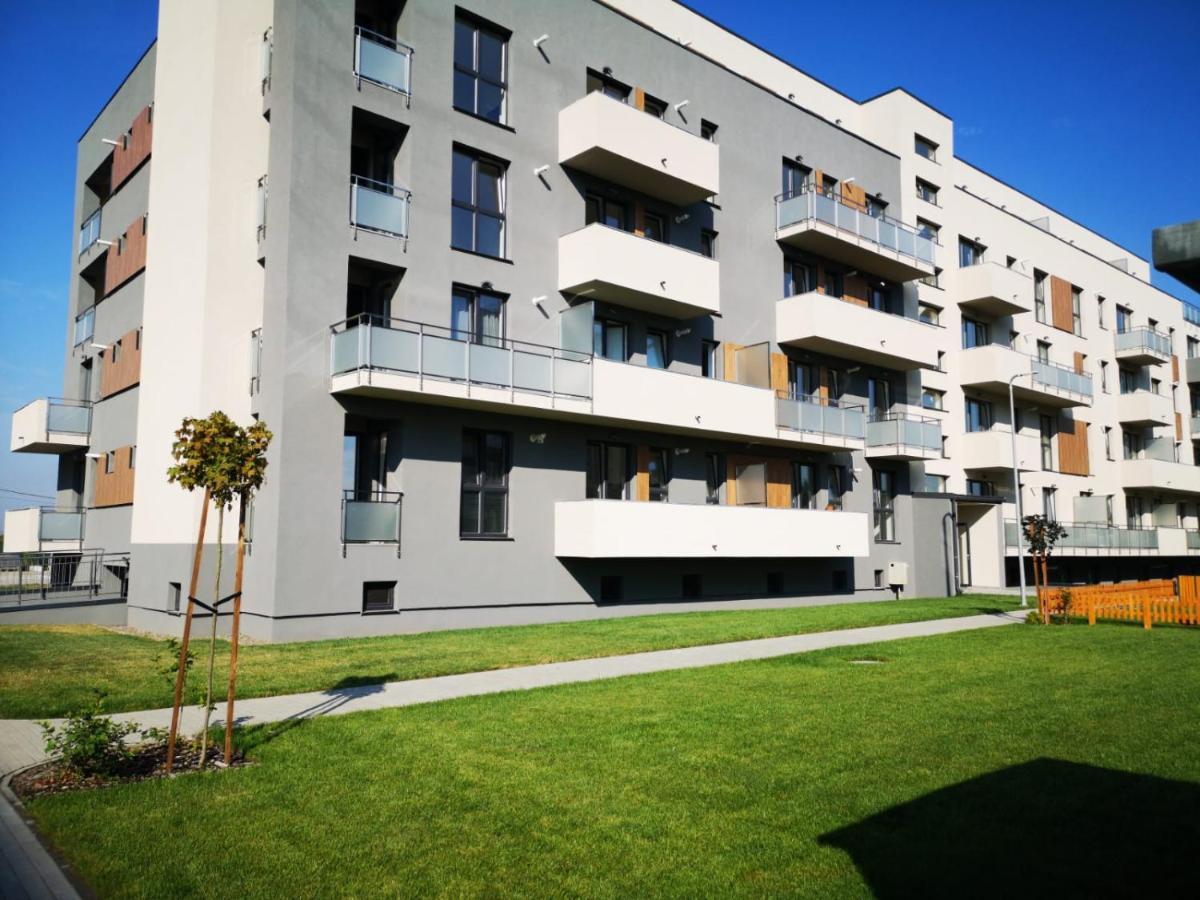 Ludi House Apartment Târgu-Mureş المظهر الخارجي الصورة
