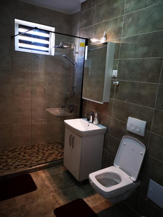 Ludi House Apartment Târgu-Mureş المظهر الخارجي الصورة